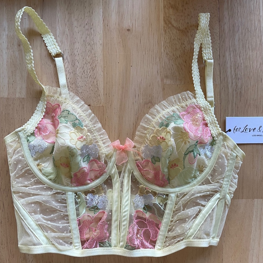 Love and Lemons Luella bustier